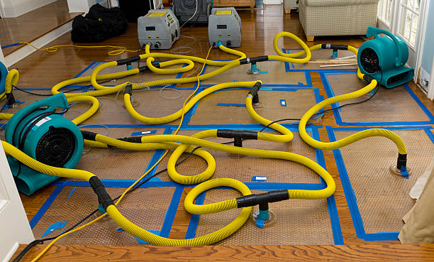 Professional Crawl Space Water Removal technician working in Celeste, TX